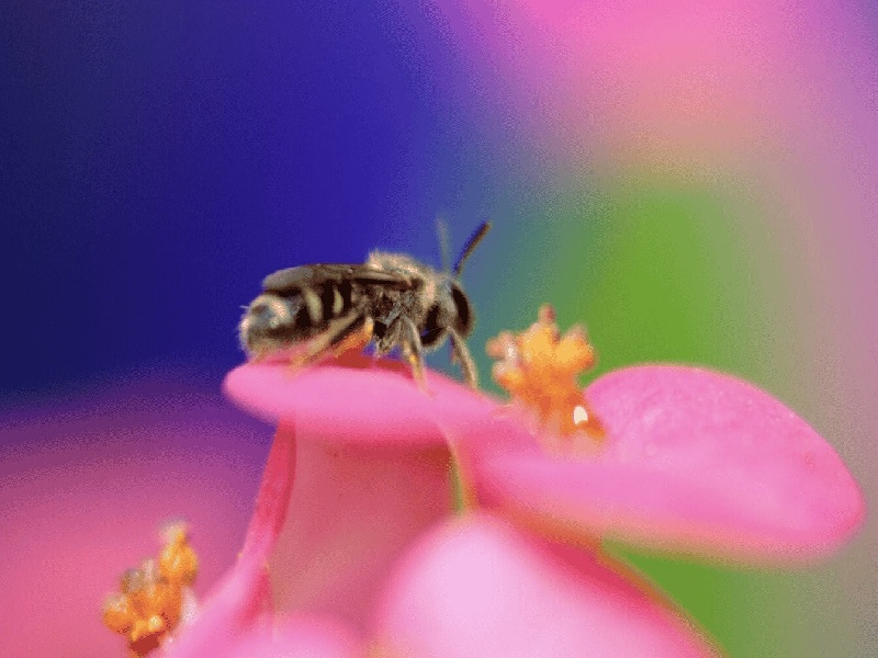 贵阳代怀最好医院,泰国试管价格高吗？-贵阳有没有供卵机构_贵阳供卵试管医院